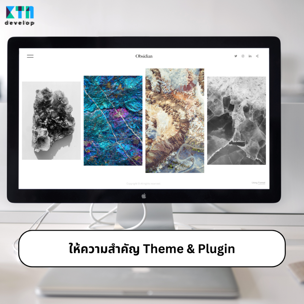 ดูแลเว็บไซต์ด้วยการให้ความสำคัญ Theme & Plugin