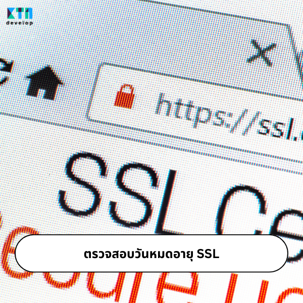 5. ดูแลเว็บไซต์ด้วยการตรวจสอบวันหมดอายุ SSL